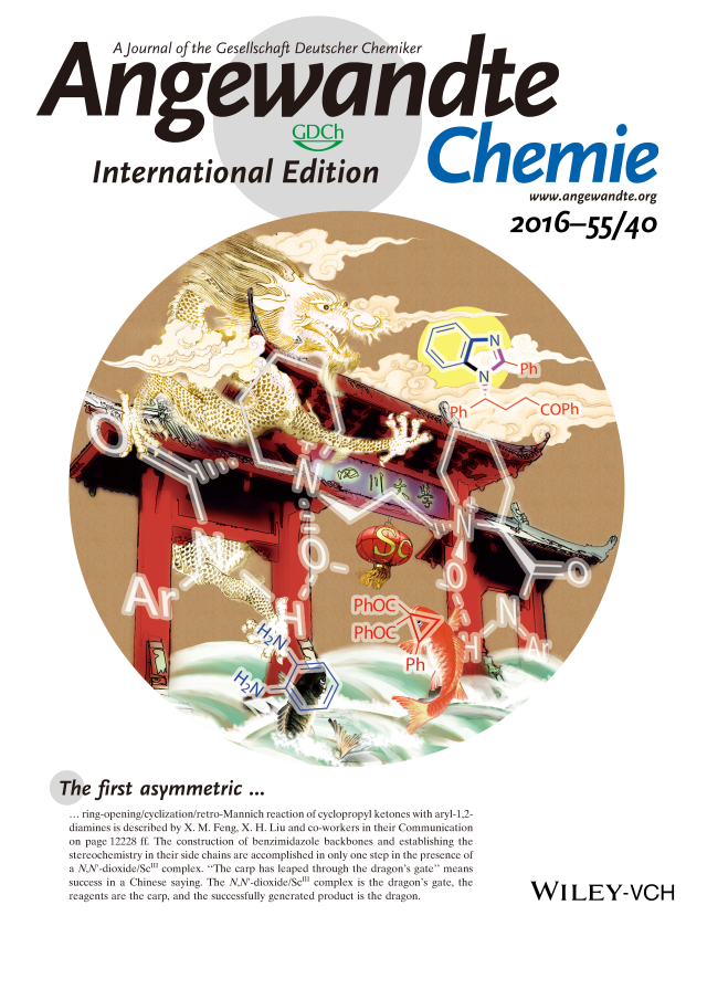 Angewandte Chemie International Edition: Vol 58, No 6
