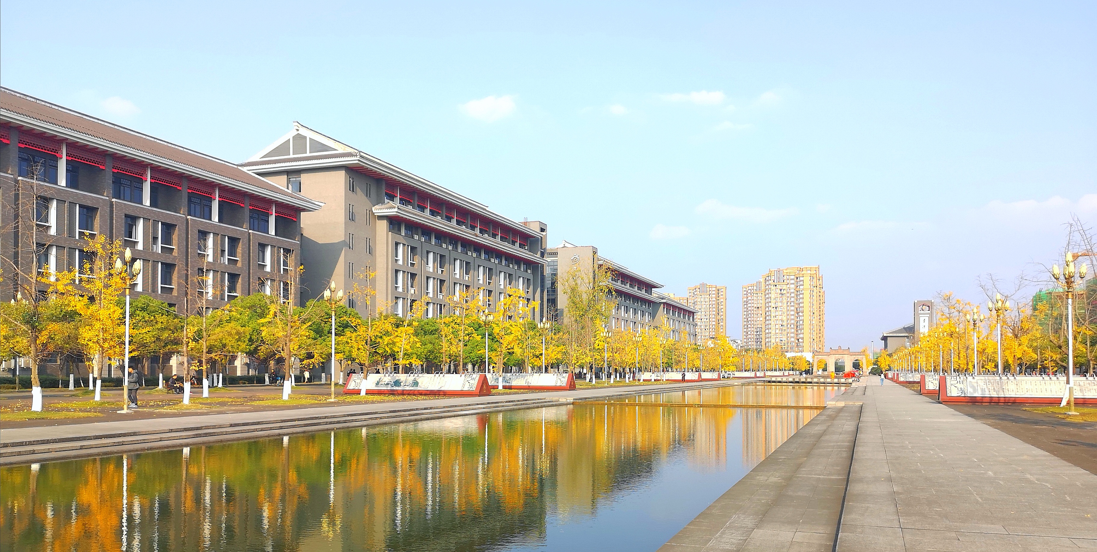 【图集】大美川大之银杏季-四川大学 Sichuan University